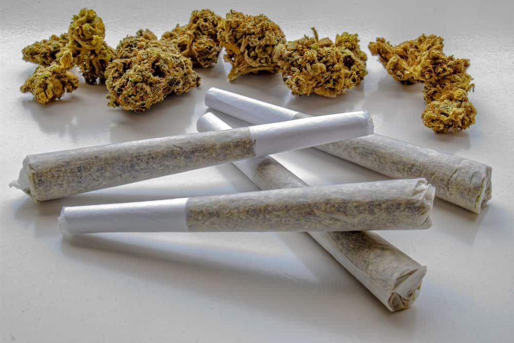 Pre Roll Joints